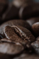 Macro shot of a single coffee bean highlighting its rich, glossy surface and intricate wrinkles.