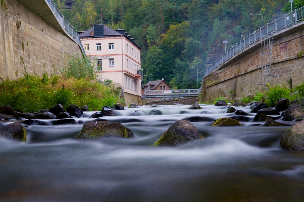 a river running through a lush green forest