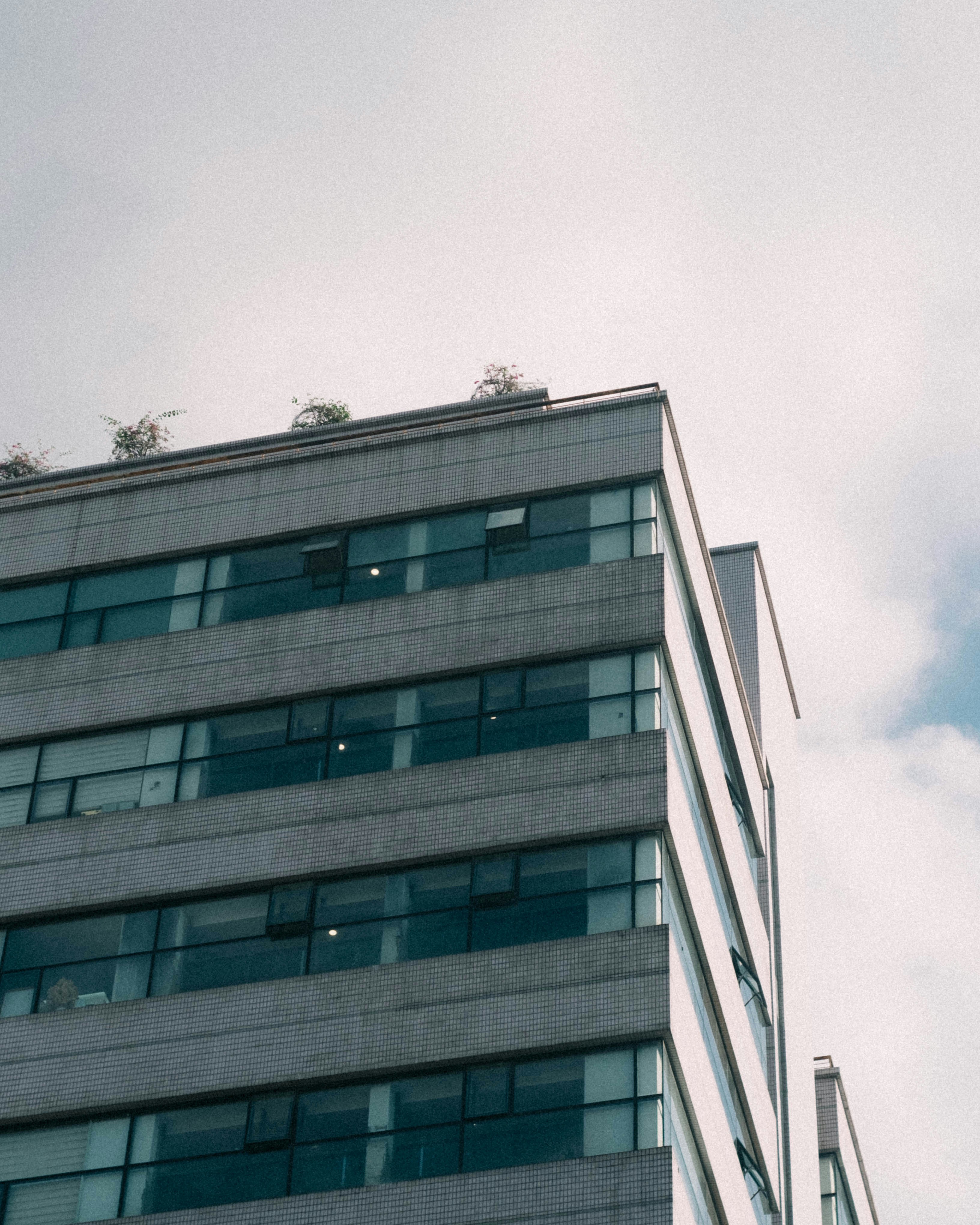 Photo by dying_apricity