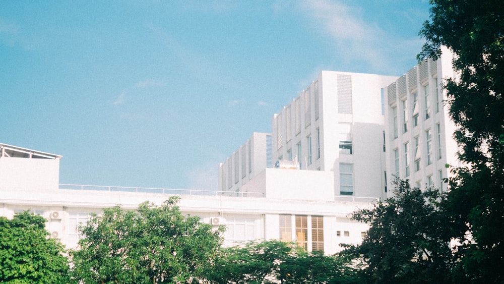 a tall white building sitting next to a lush green forest