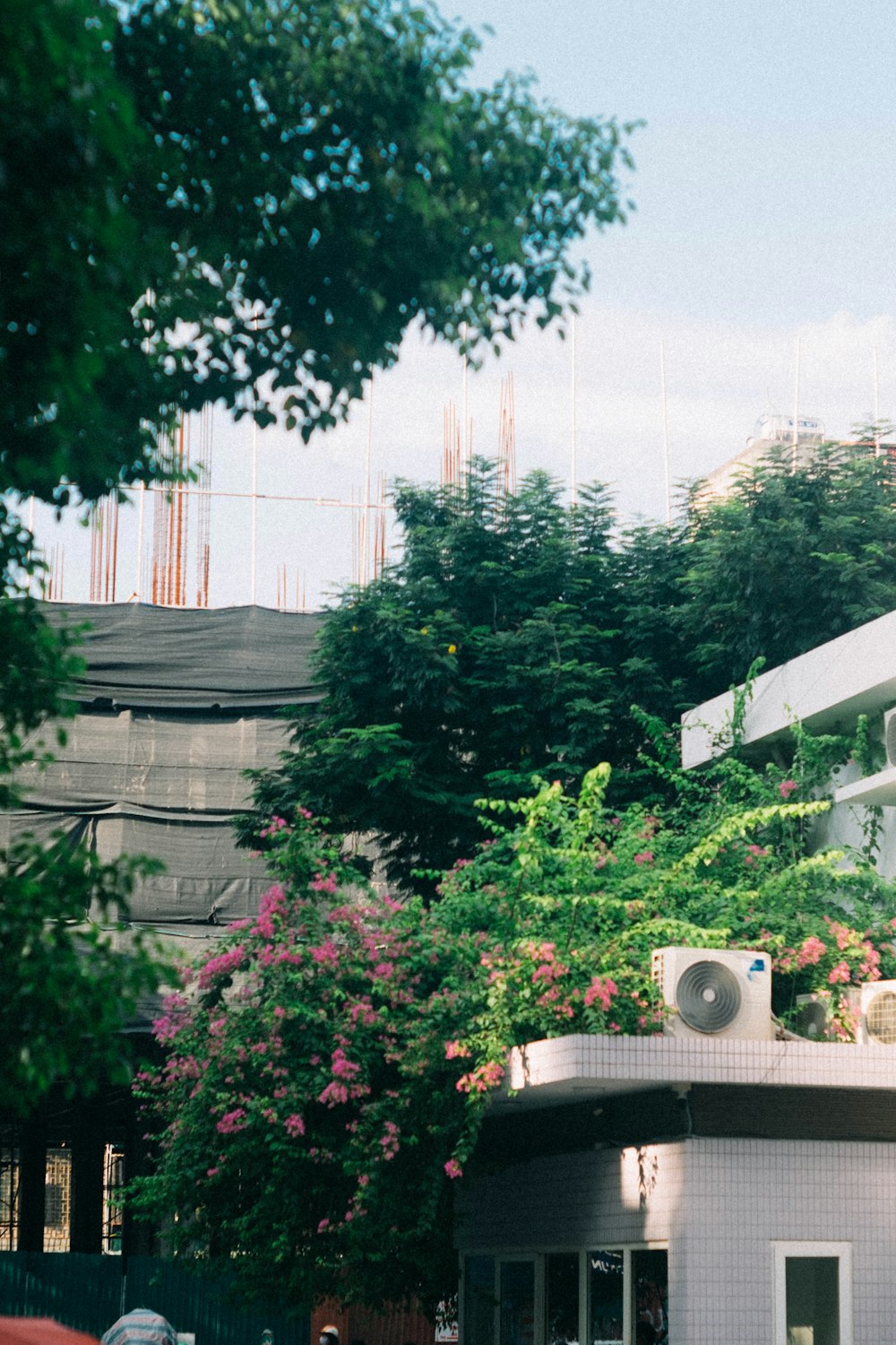 a building that has a bunch of plants growing on it