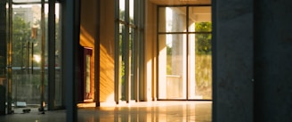 Sunlight streams through large glass doors into a modern building lobby, casting elongated shadows on the polished floor. The interior features sleek architectural lines with a focus on transparency and light. Outside, greenery is visible through the windows, adding a touch of nature to the urban setting.