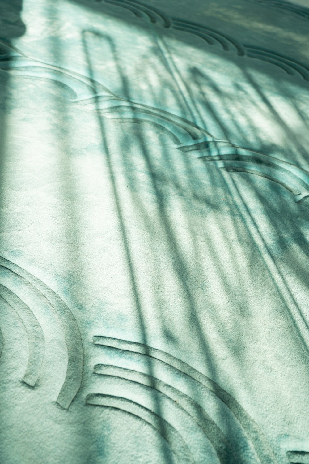 the shadow of a tree on a sidewalk