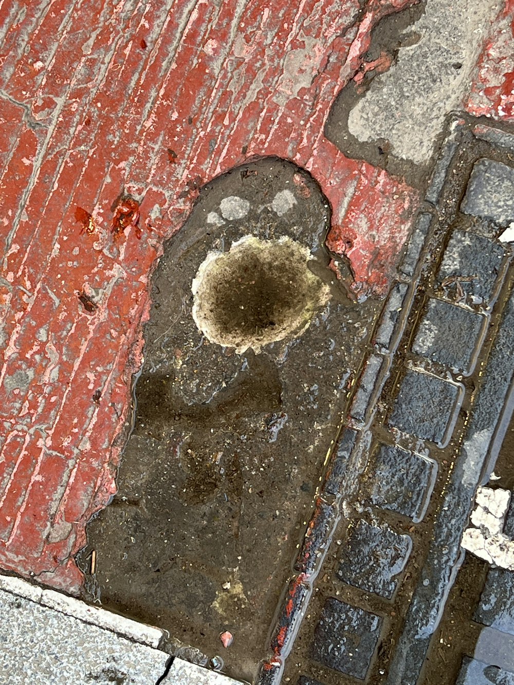 a cat's paw prints on a brick wall