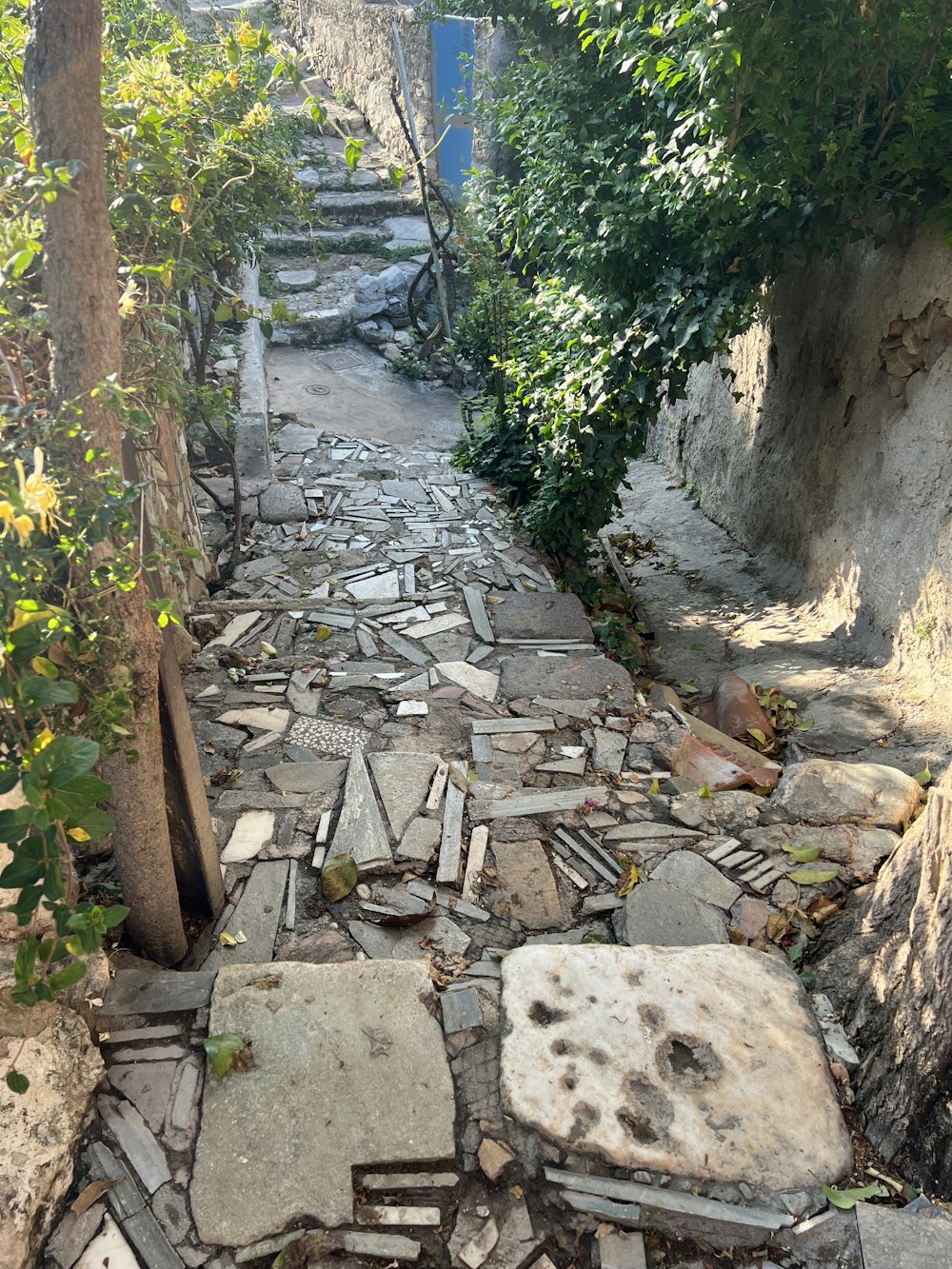 a cobblestone street with trees and bushes on either side