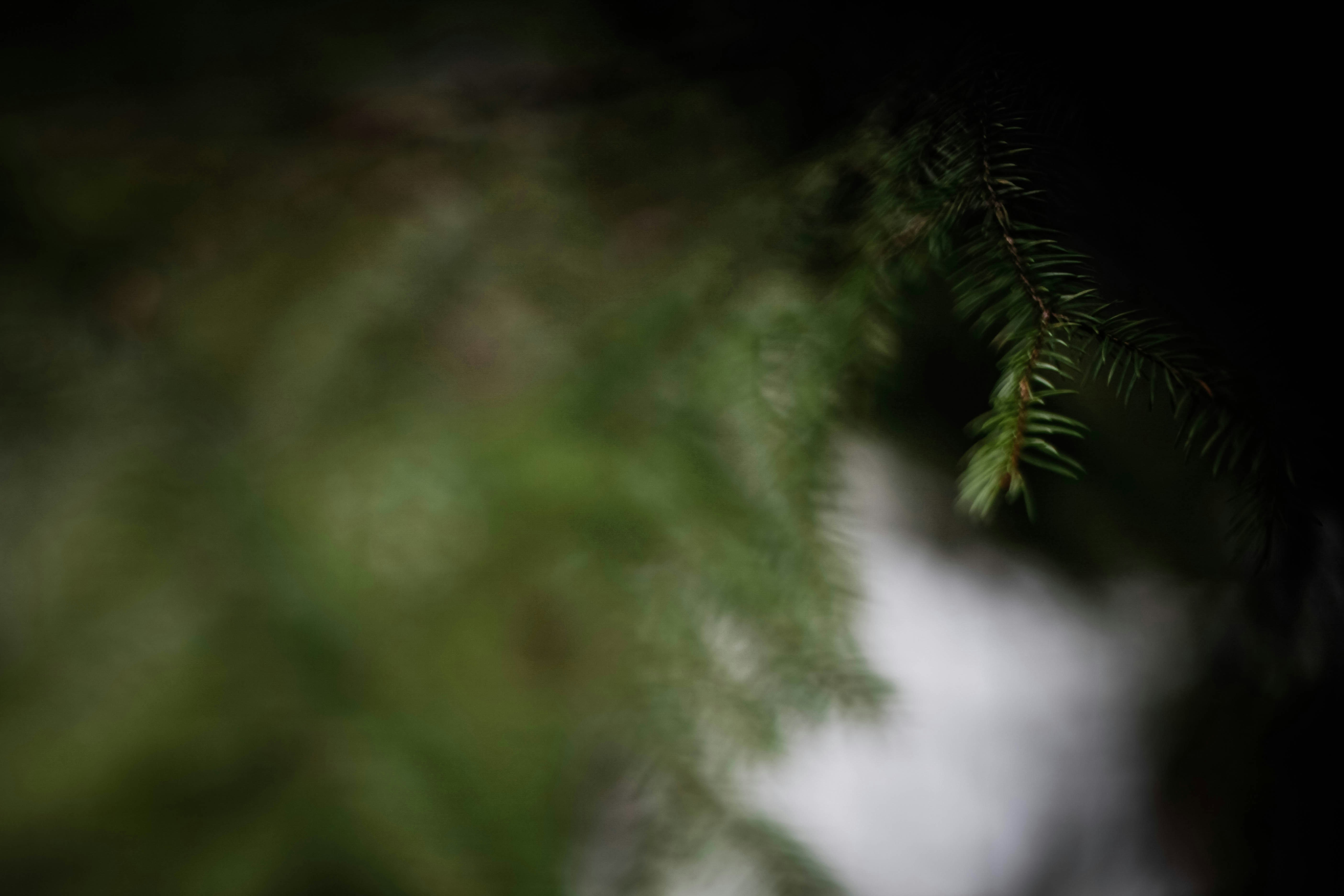 Photo by helgapettersen