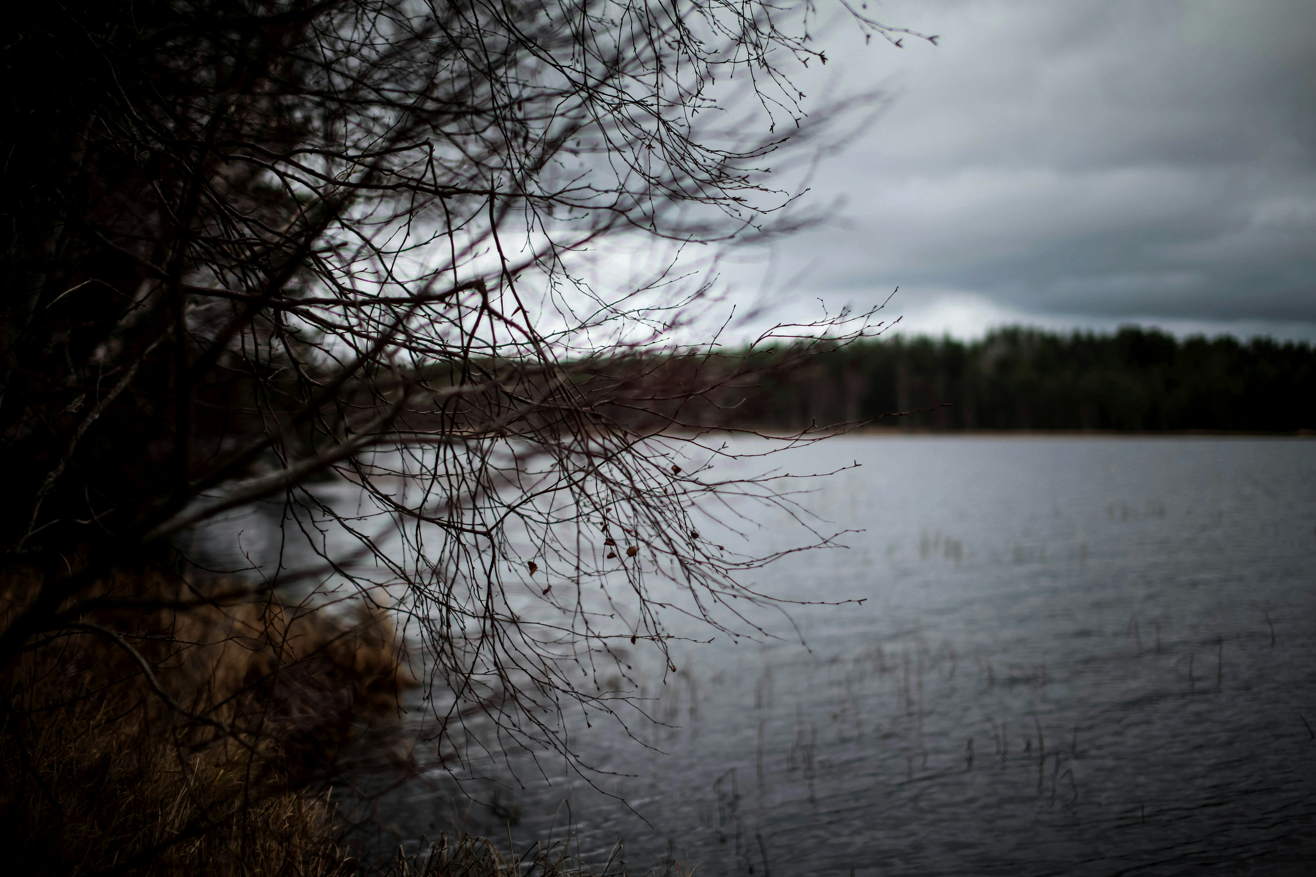 Photo by helgapettersen