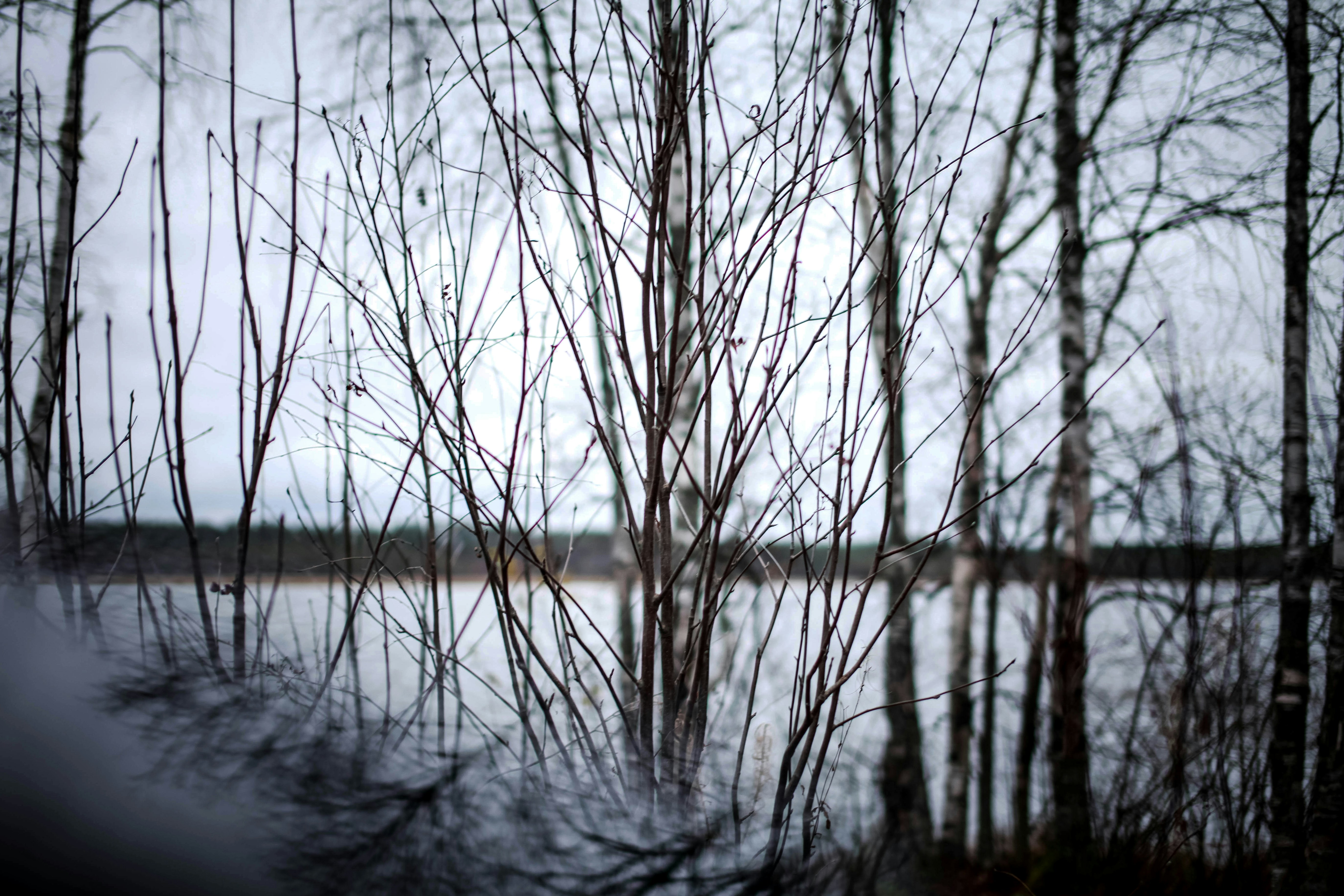 Photo by helgapettersen