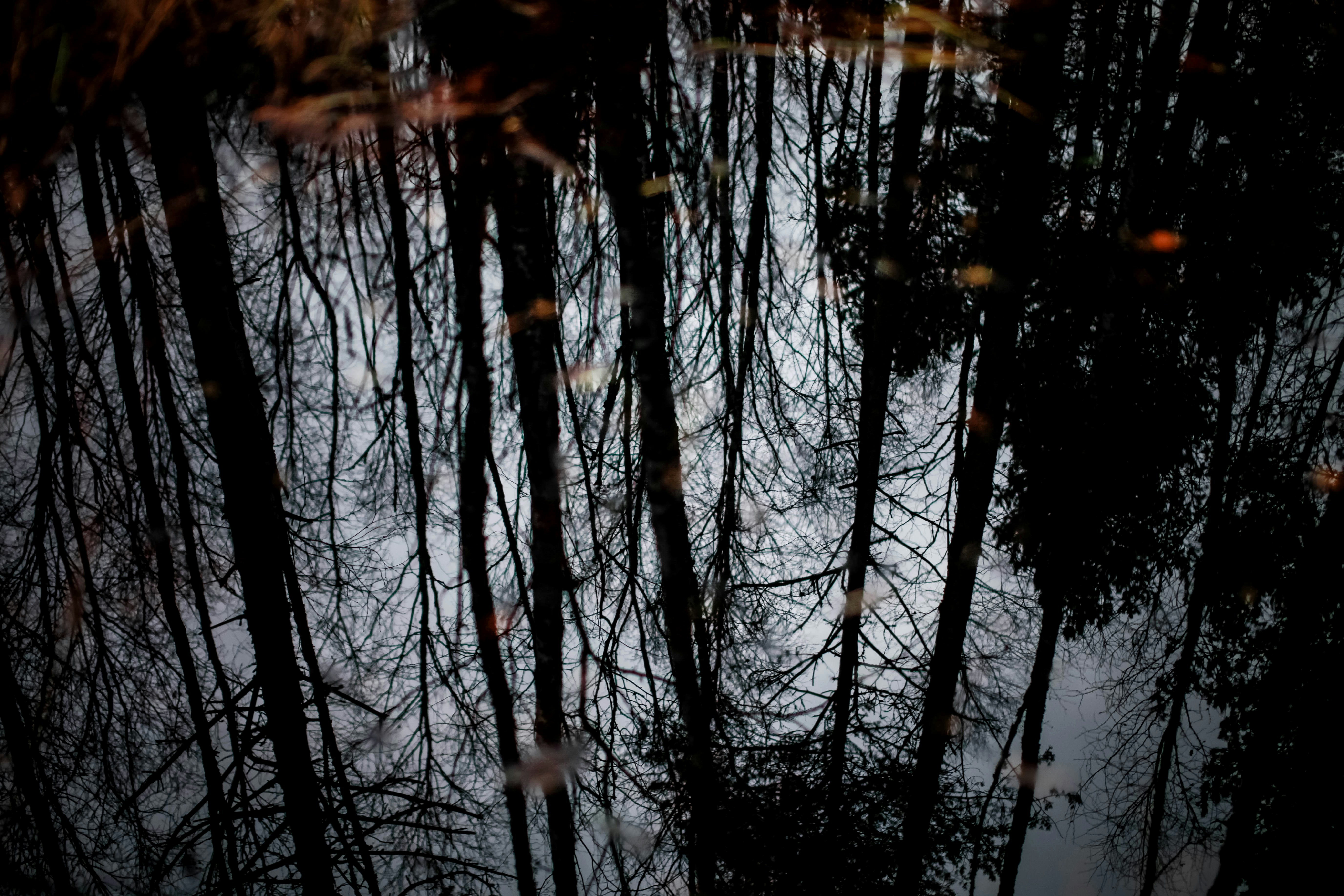 Photo by helgapettersen