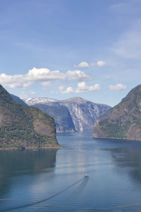 A crisp, icy Norwegian fjord with fishing boats preparing for a fresh catch at dawn.