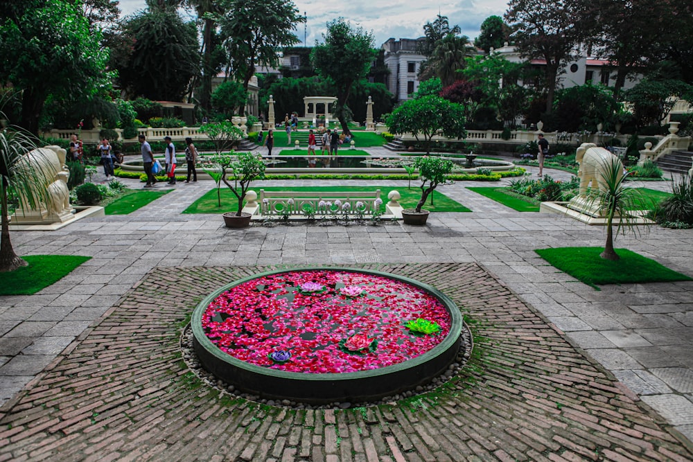 a garden filled with lots of pink flowers