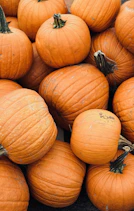 a pile of orange pumpkins sitting on top of each other