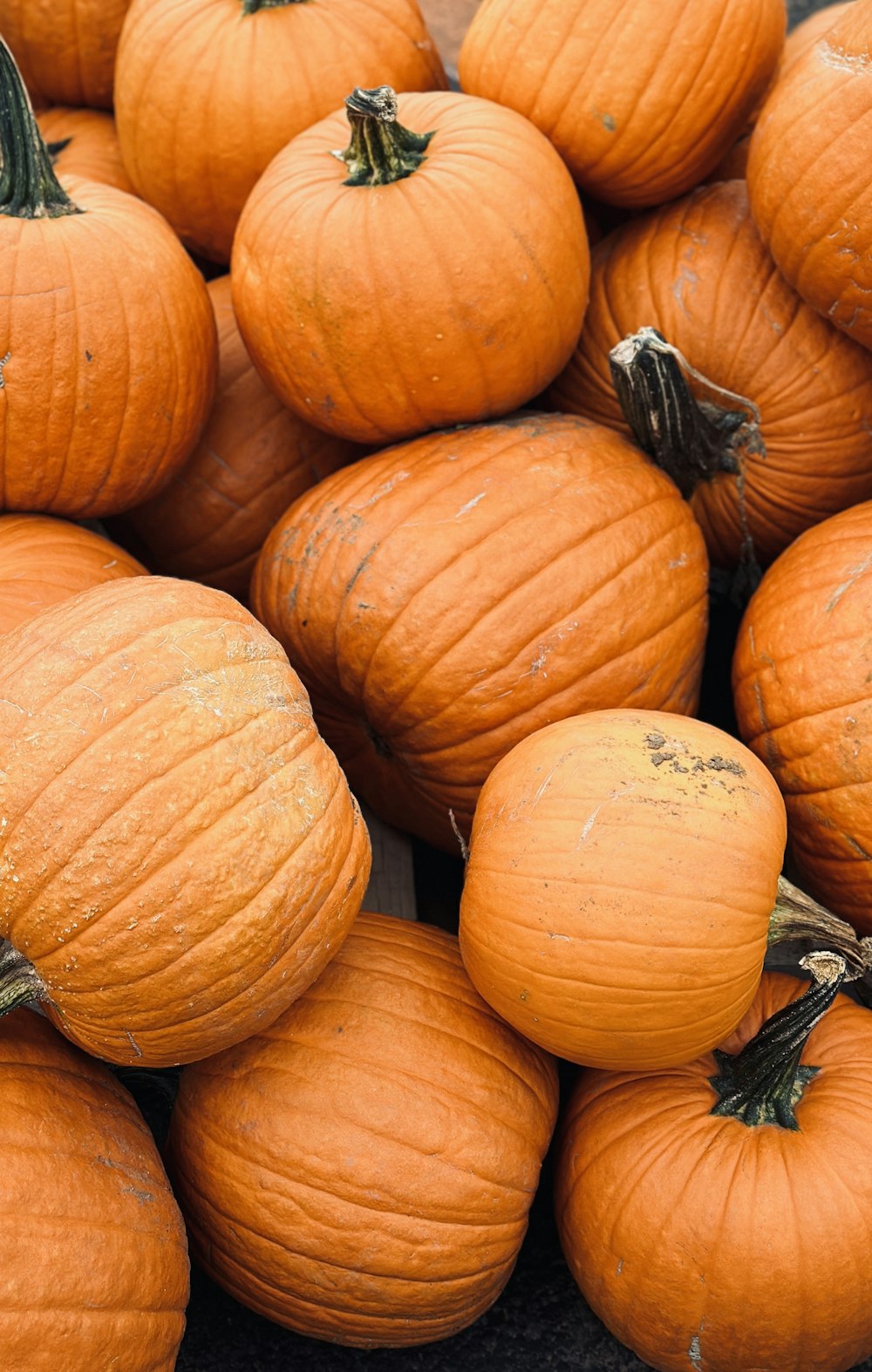 a pile of orange pumpkins sitting on top of each other