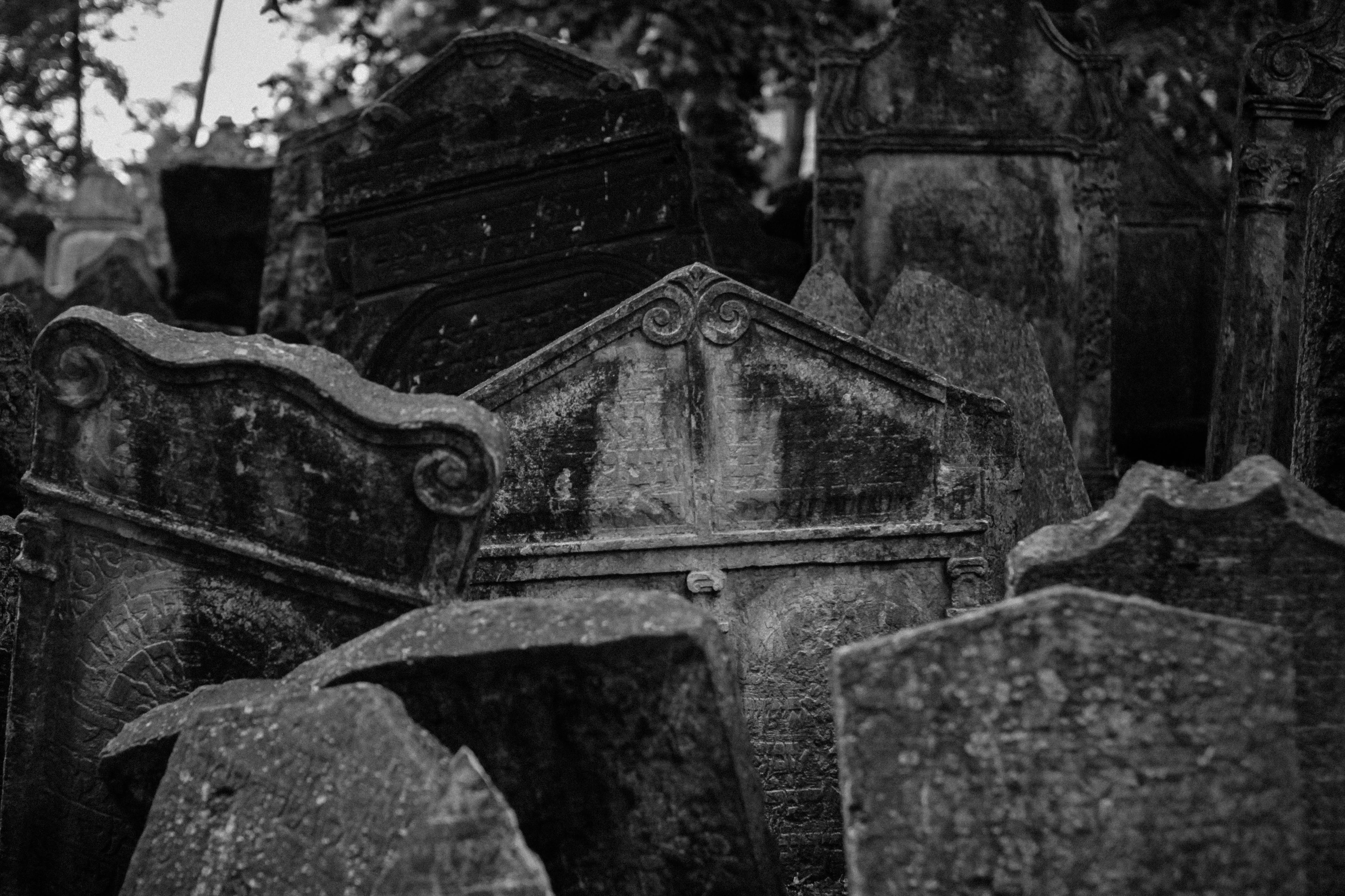 Photo by helgapettersen