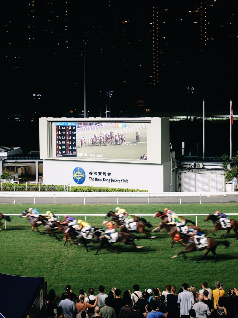 a group of people watching a horse race