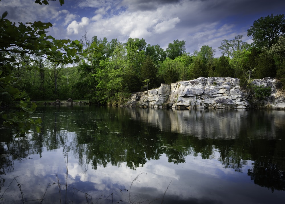 a body of water surrounded by trees and rocks