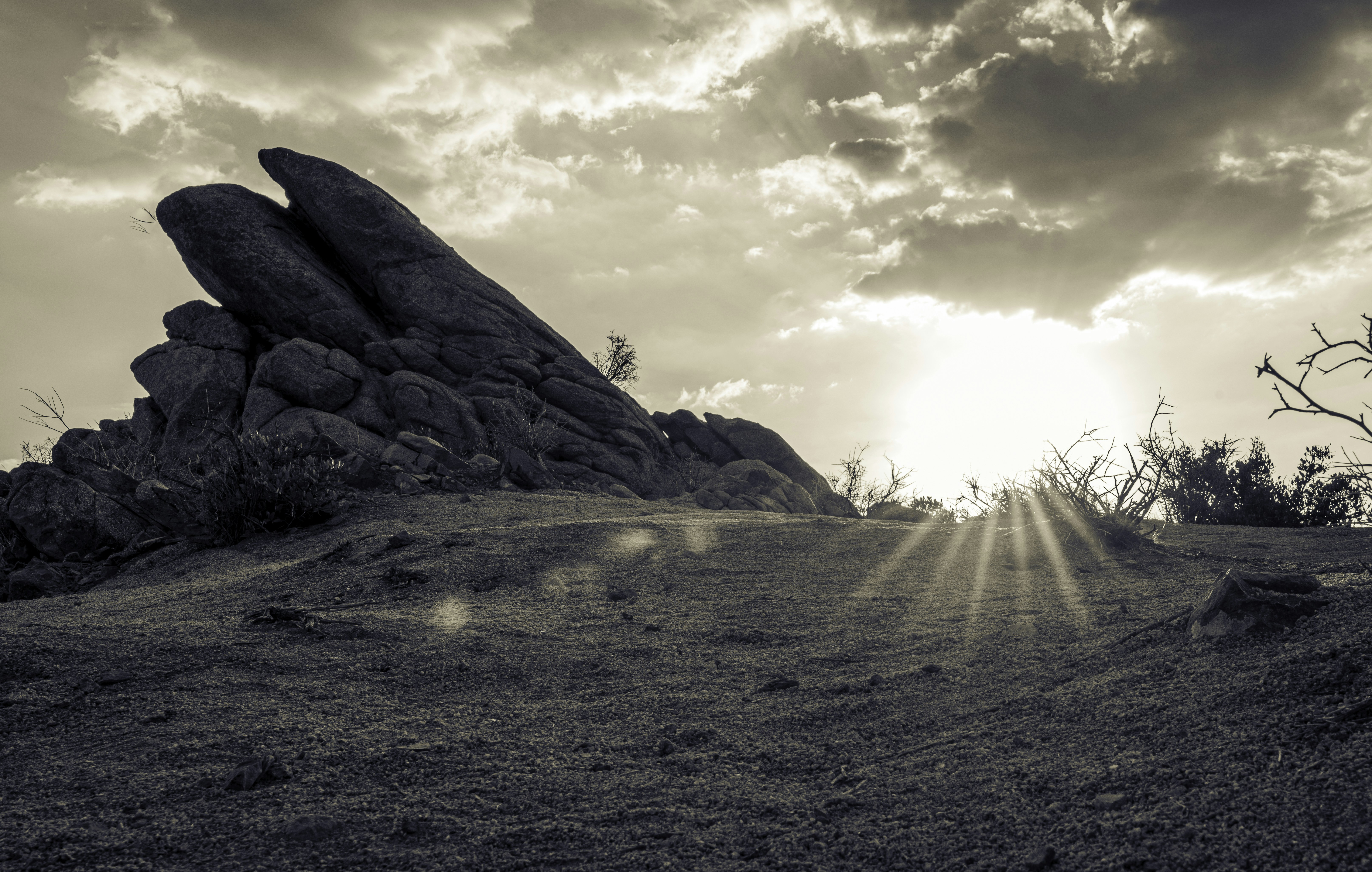 Photo by abellardmedia