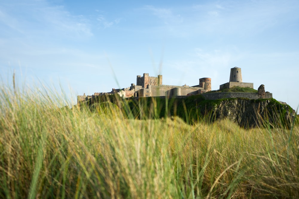 a castle sitting on top of a lush green hillside