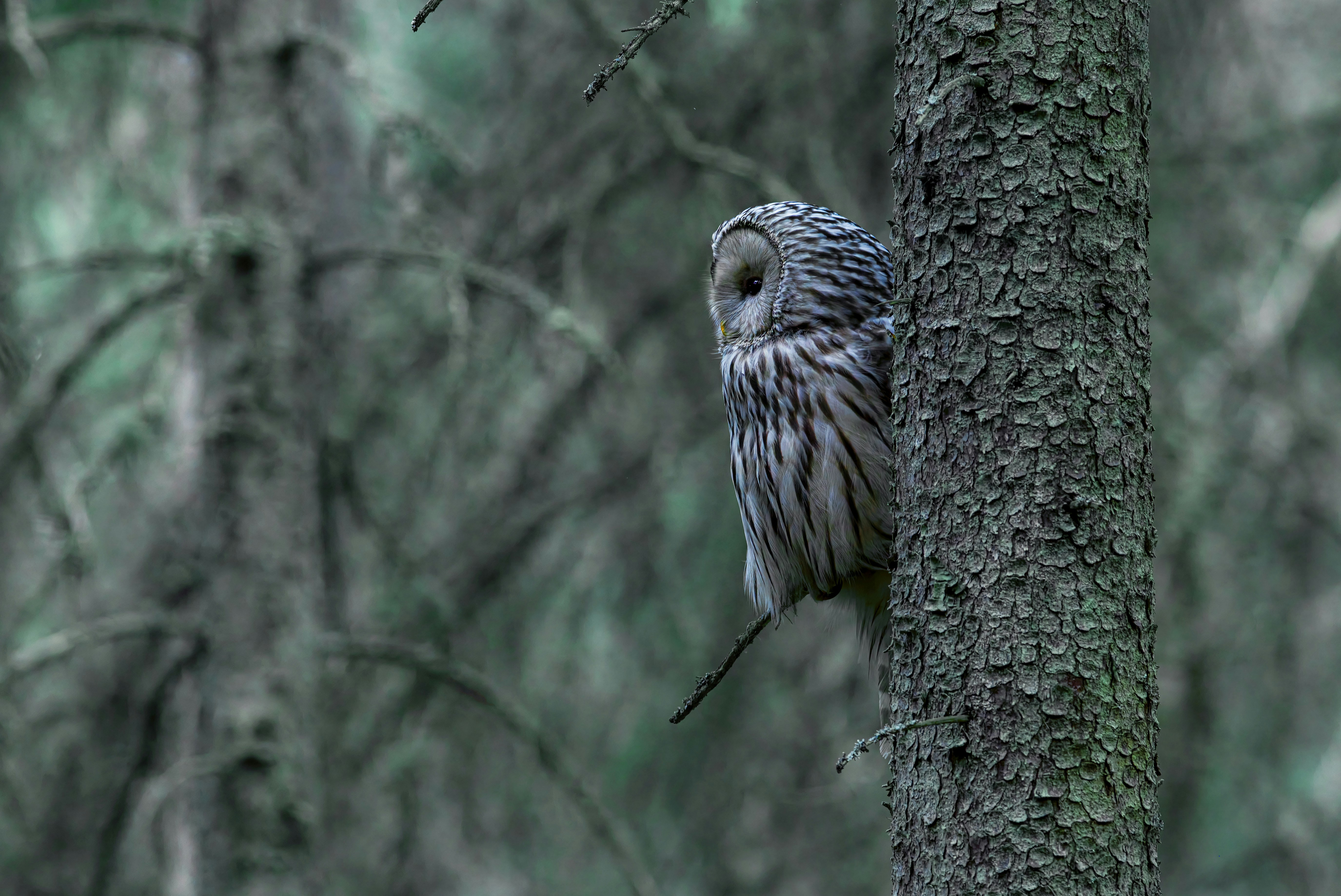 Photo by erik_karits