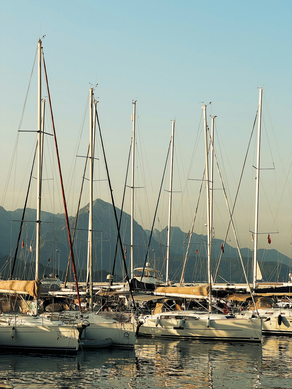 a group of sailboats docked in a harbor