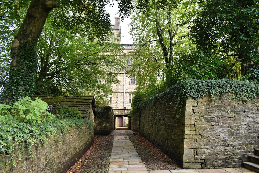 a stone path leading to a building with a clock tower in the background