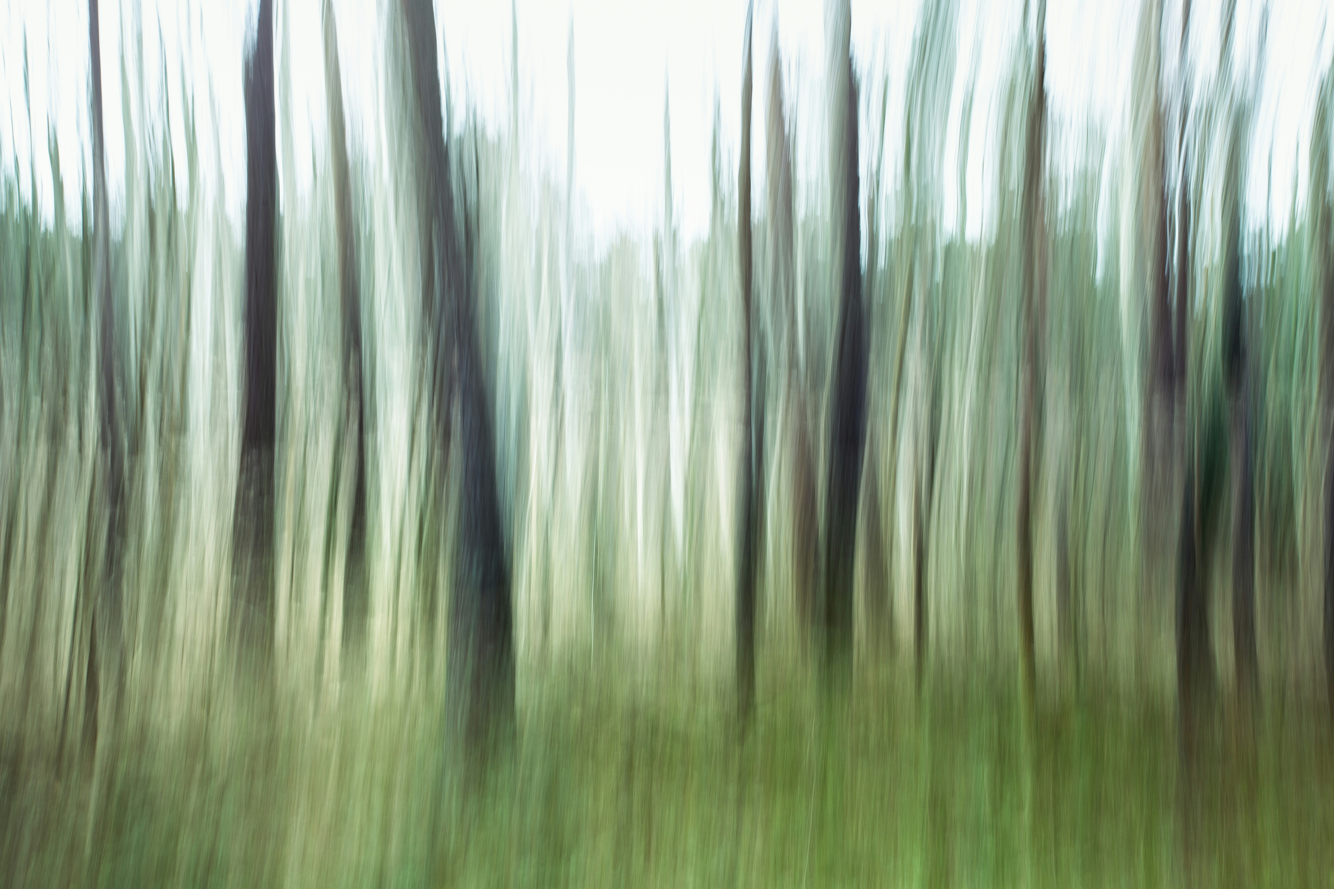 Photo by marekpiwnicki