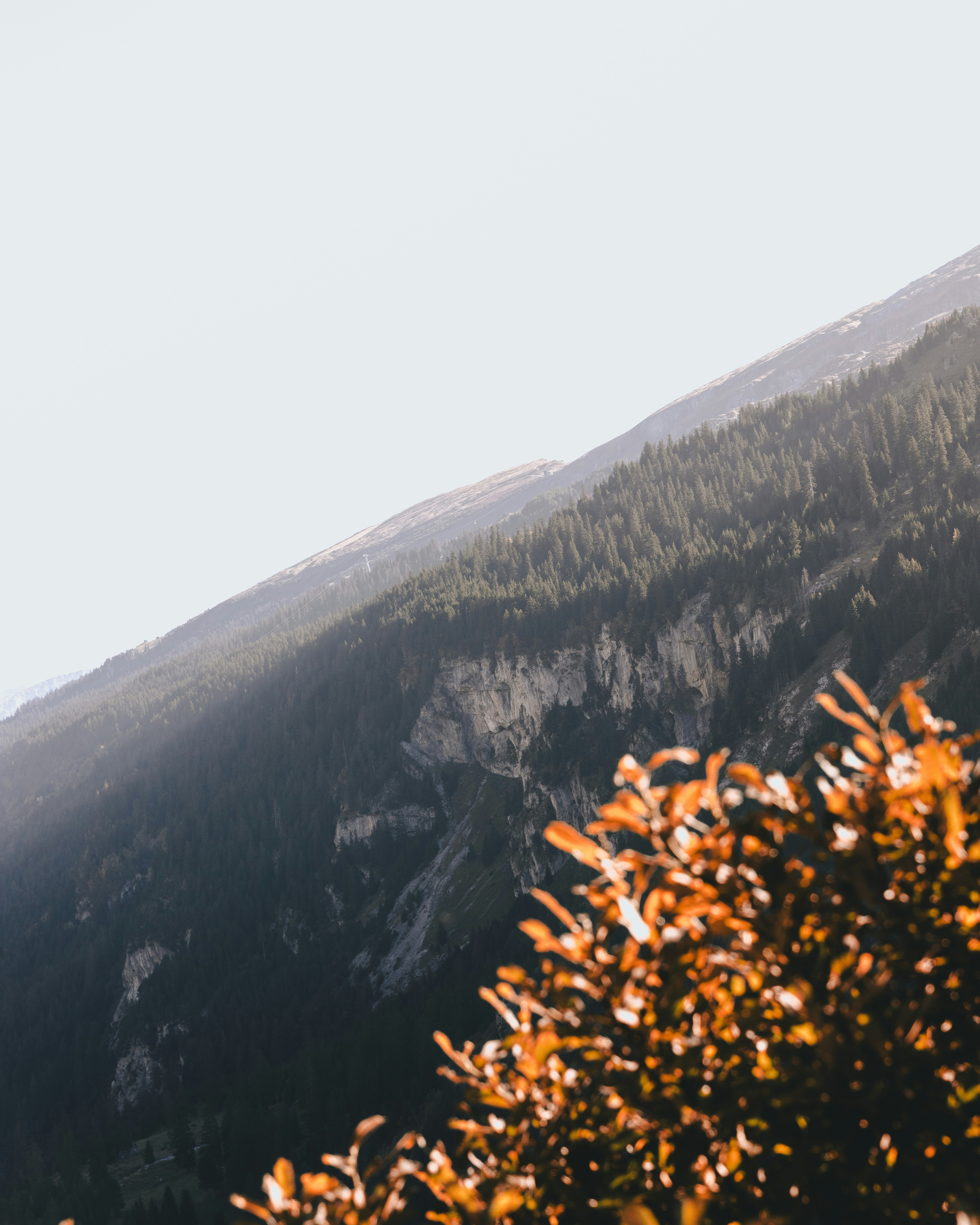 Photo by kevinoetiker