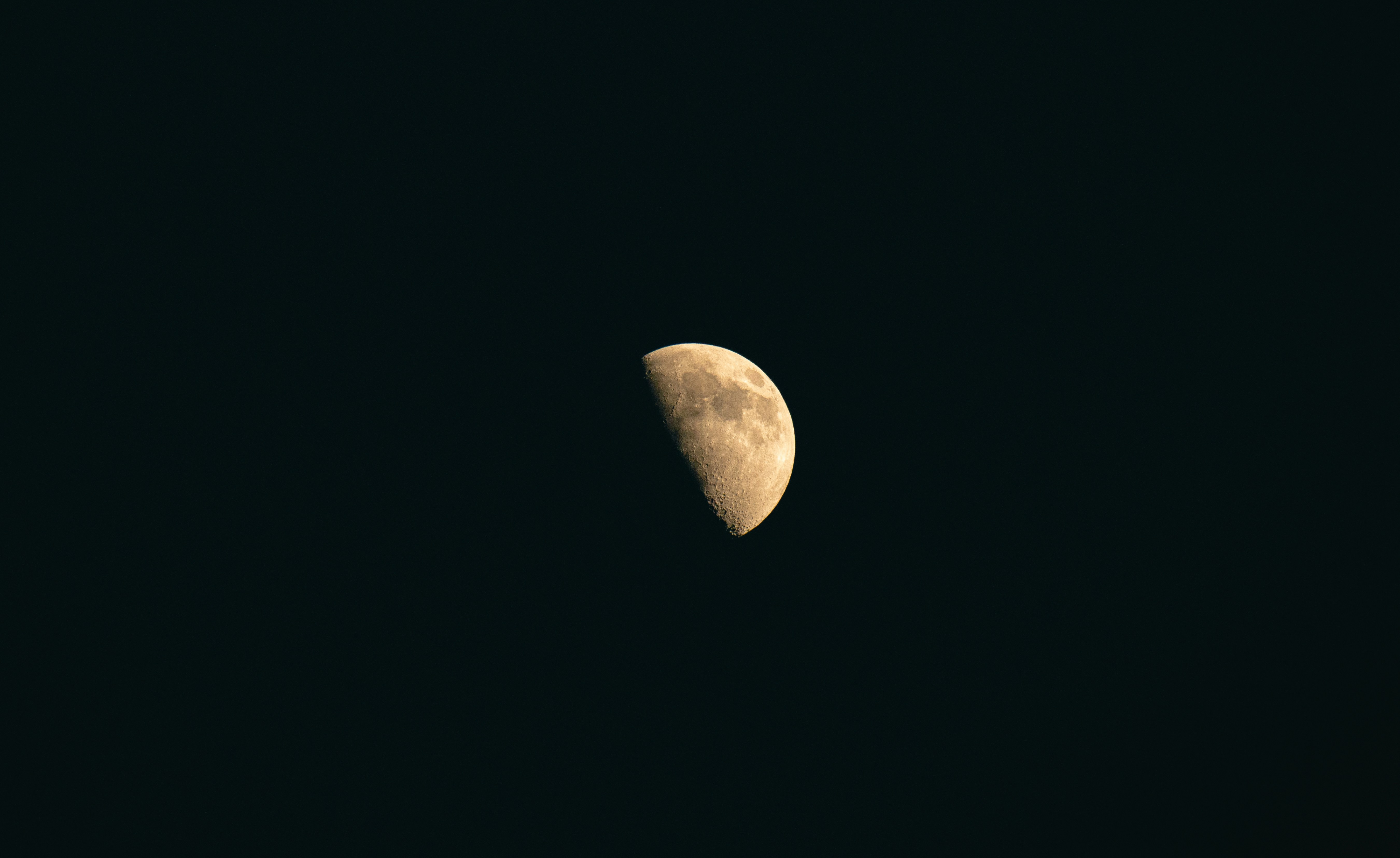 a half moon is seen in the dark sky