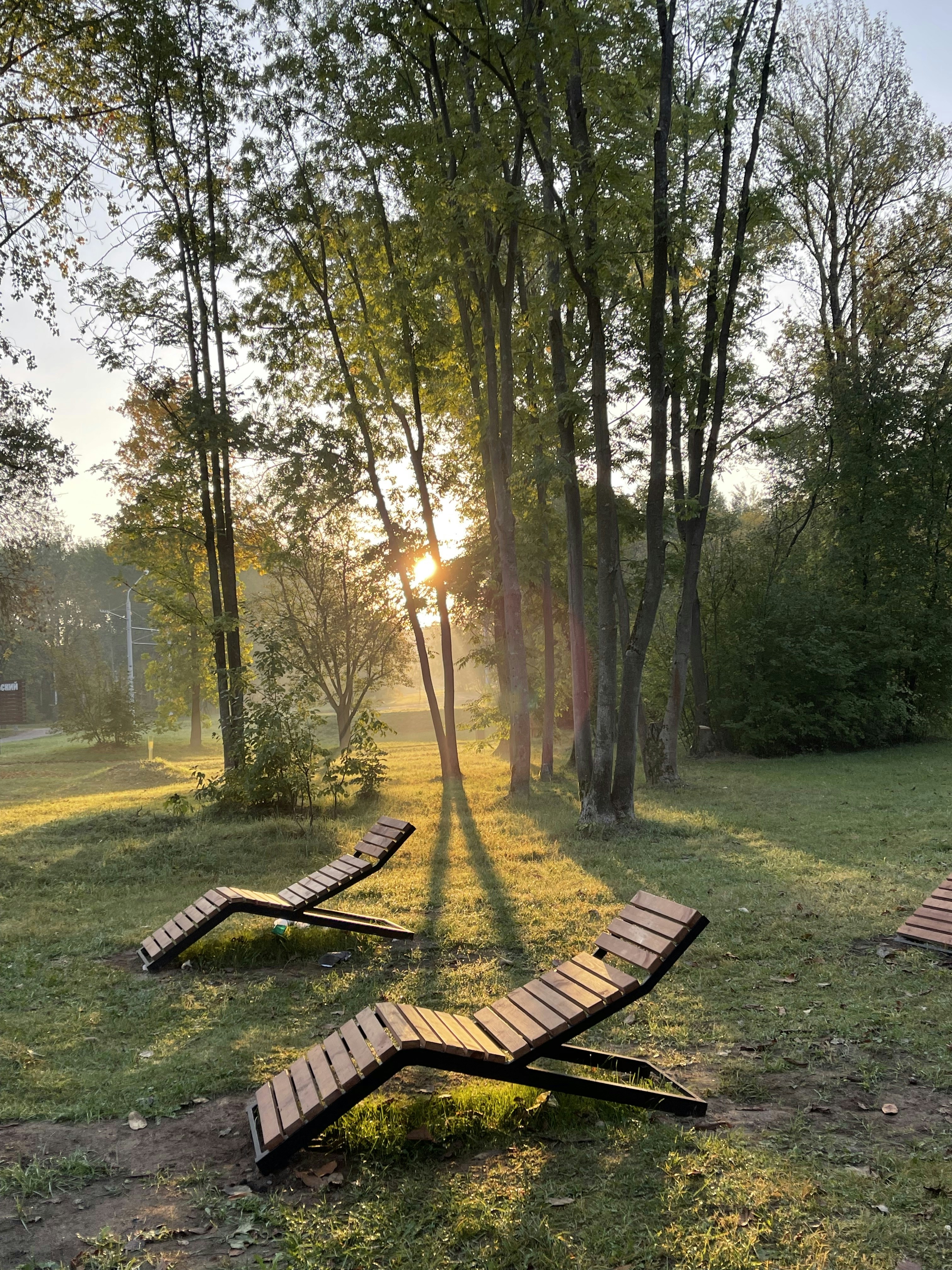 Two wooden loungers sit on a grassy park lawn.