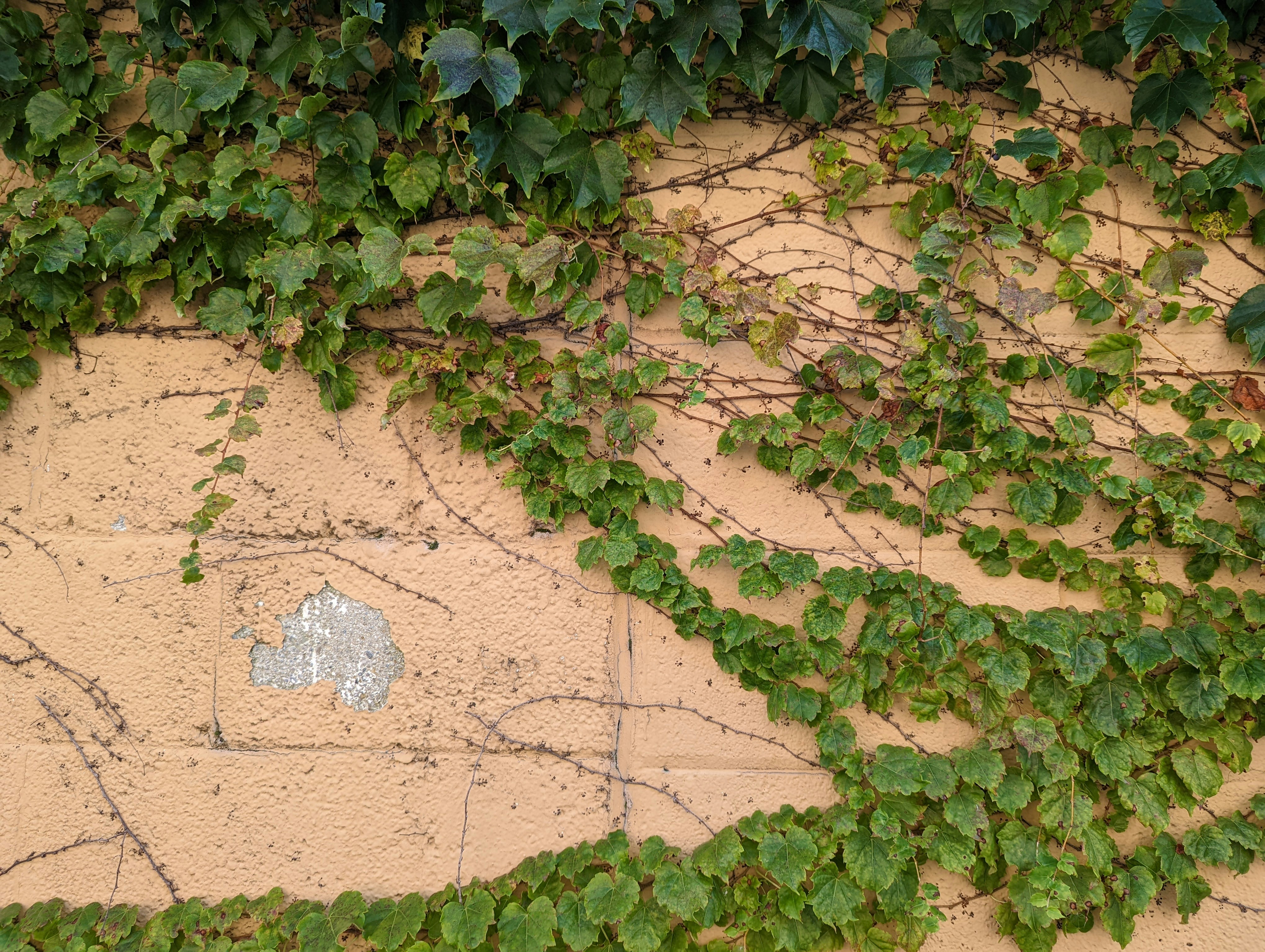 Data Reveals the Bermuda Triangle’s Secrets