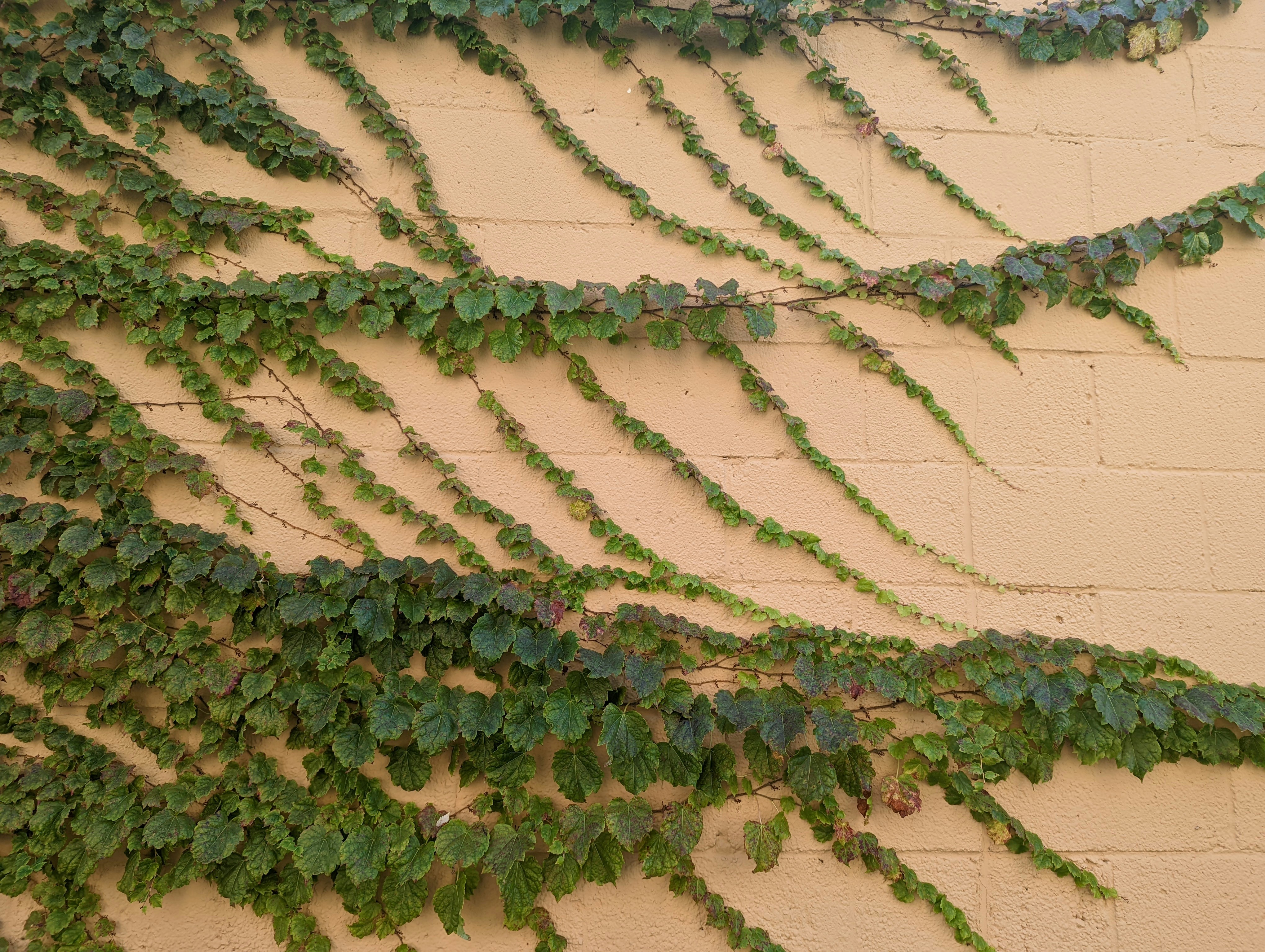 Photo by darkersolstice