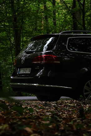 A dark-colored vehicle is parked partially visible on a forest road surrounded by dense green foliage. Fallen leaves cover the ground, adding a natural texture to the scene. The license plate is visible, and the vehicle's taillights add a subtle contrast to the greenery.
