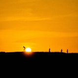 Sunset over the Lozère countryside with silhouettes of people walking on a trail.