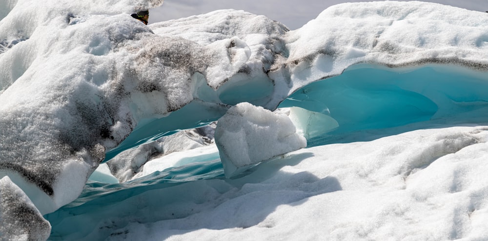 a bird is perched on top of some ice formations