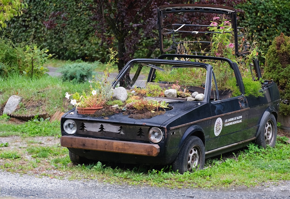 an old car with plants growing out of it