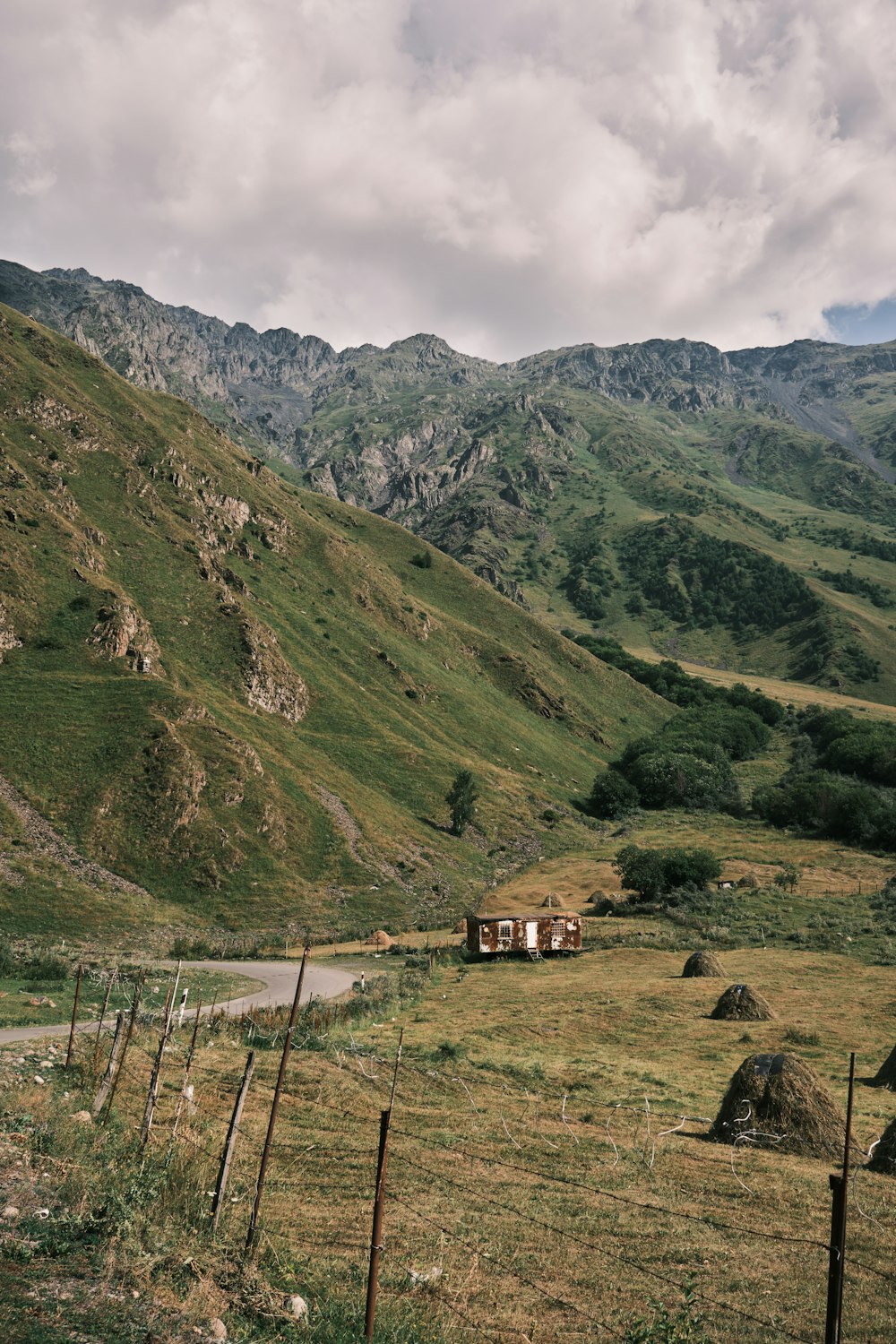 a grassy field with mountains in the background