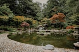 A serene Japanese garden with soft sunlight filtering through maple leaves in autumn
