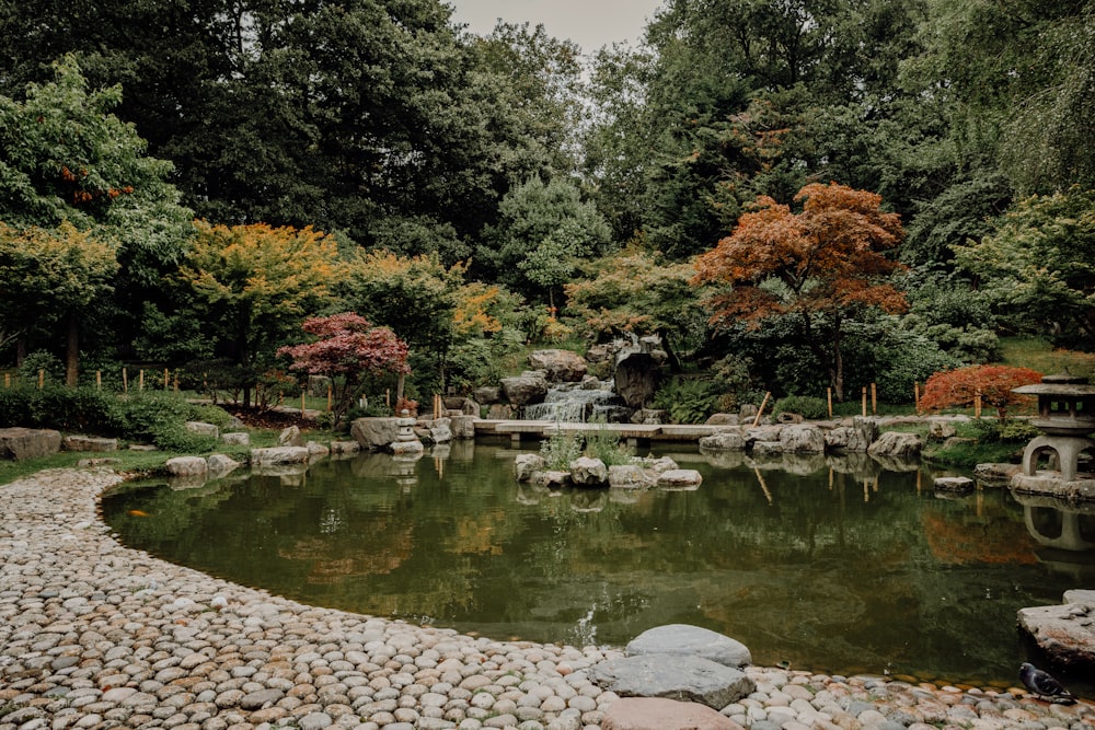 ein kleiner Teich, umgeben von Felsen und Bäumen