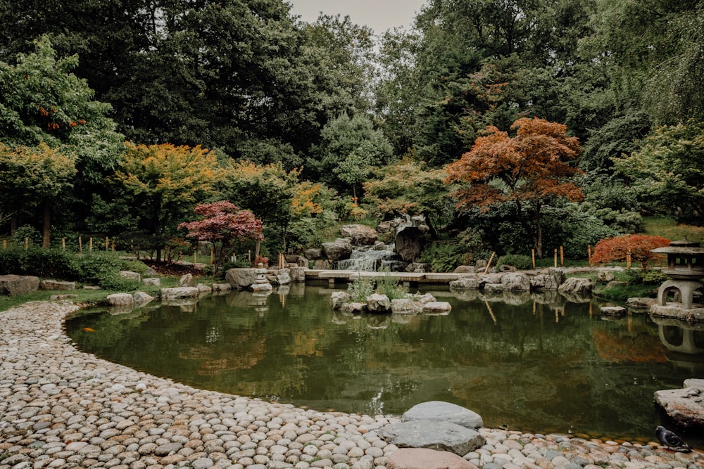 a small pond surrounded by rocks and trees