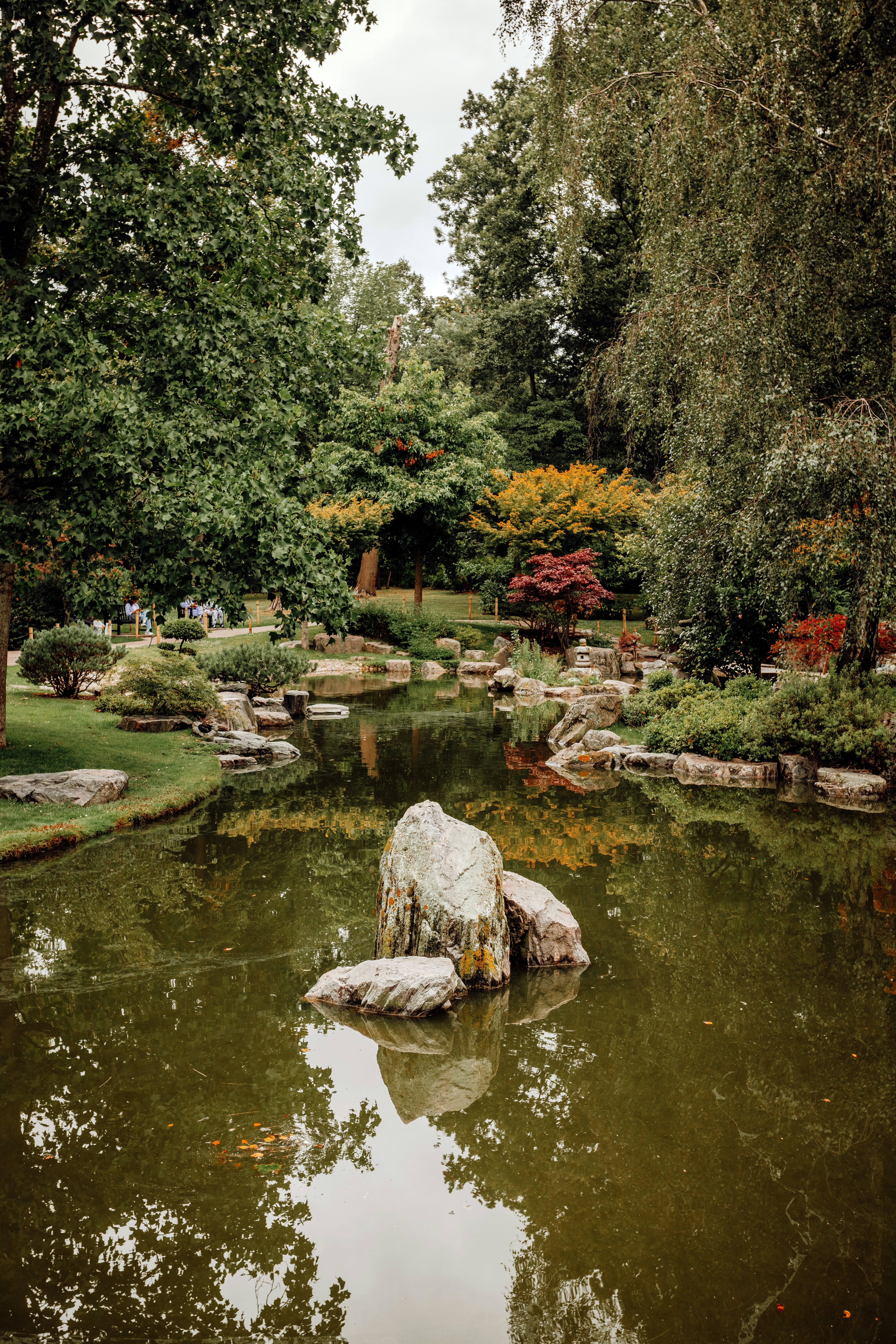 a pond with a rock in it surrounded by trees