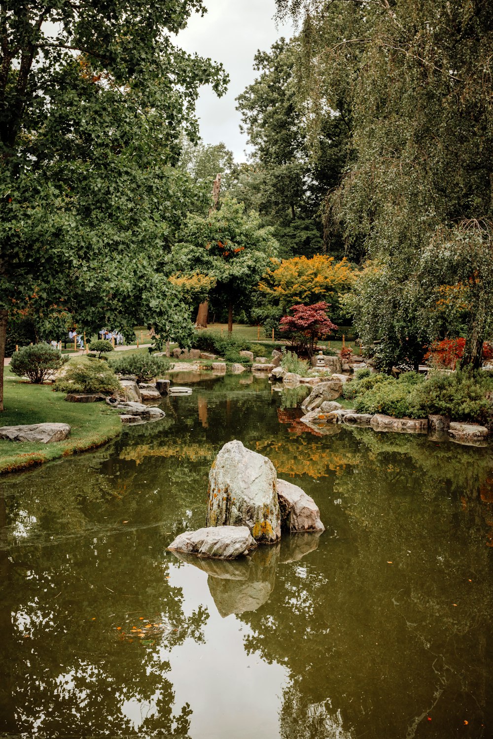 a pond with a rock in it surrounded by trees