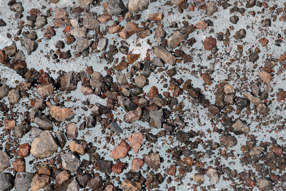 a close up of rocks and gravel on the ground