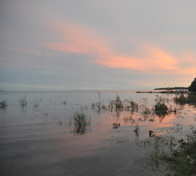 A peaceful lakeside at sunset with soft pastel colors reflecting on the water