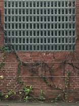 A rectangular section of glass blocks is embedded in a brick wall with climbing vines and green leaves sprouting along the bottom and sides. The glass blocks form a grid pattern, while the red bricks and the vines provide a contrast in texture.