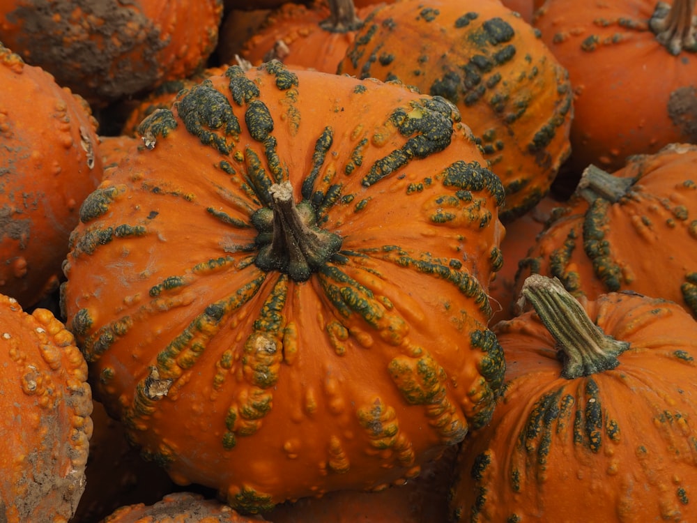 a close up of a bunch of orange pumpkins
