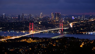 a view of a city and a bridge at night