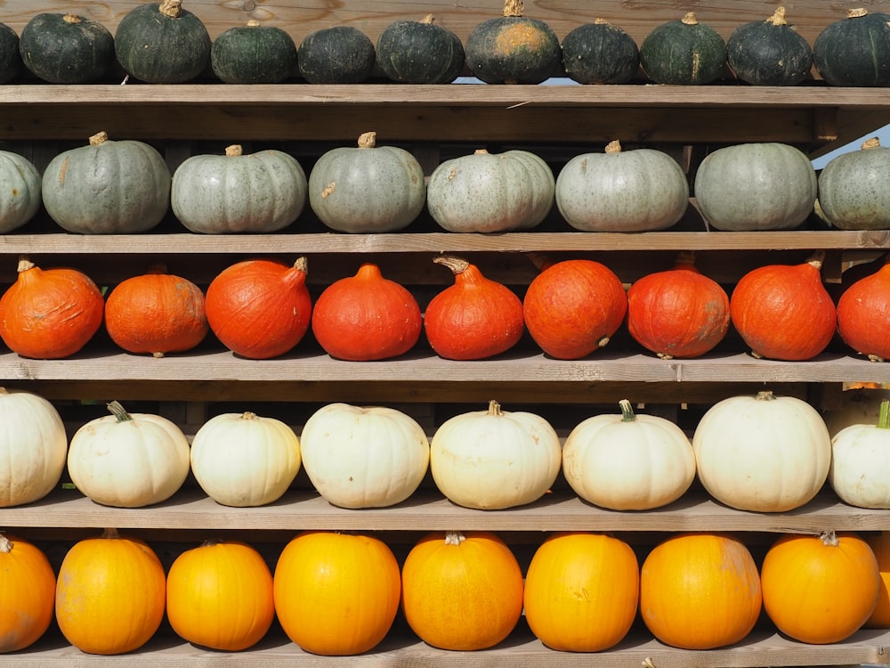a display of pumpkins and gourds for sale