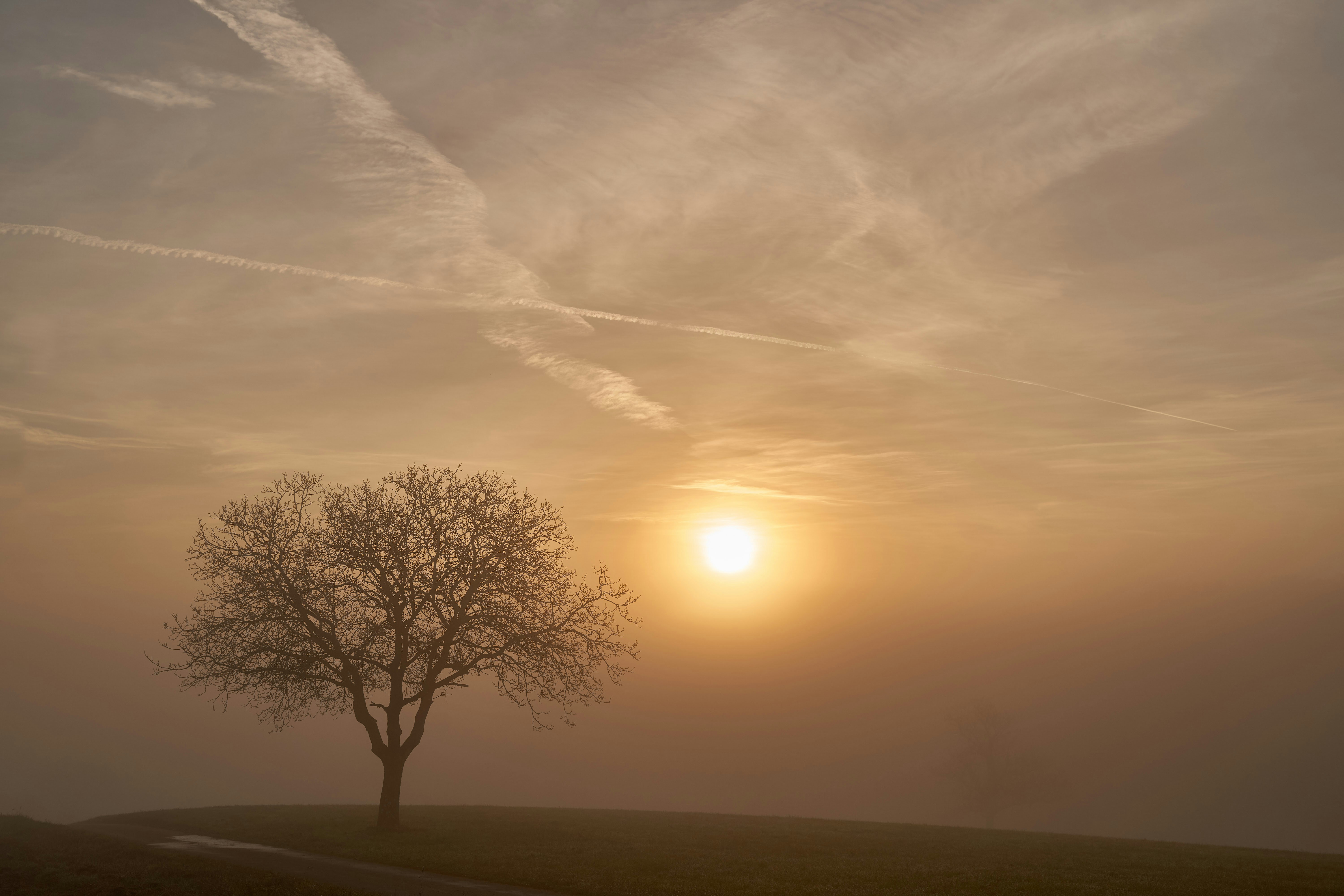 Photo by wolfgang_hasselmann