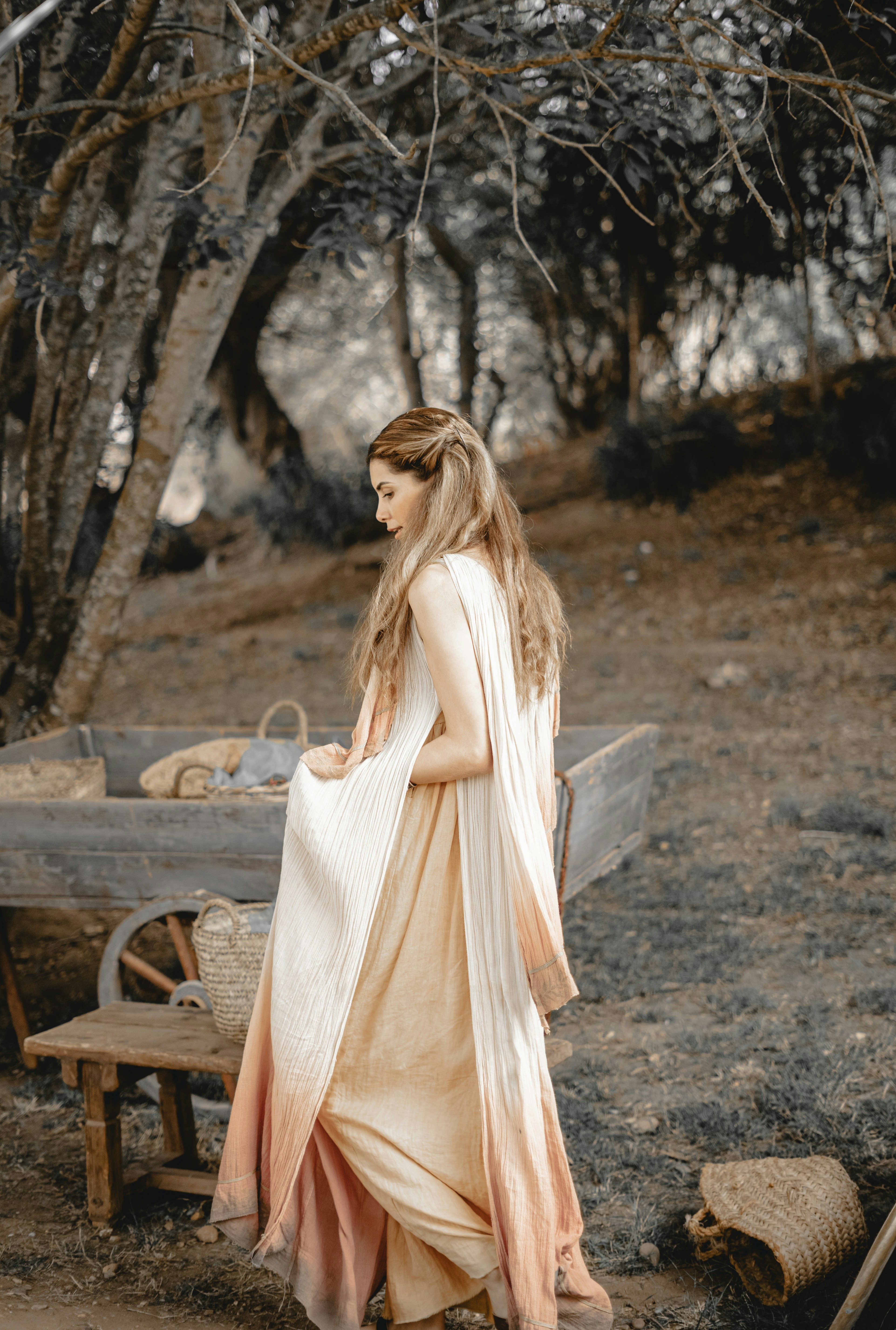A woman in a long dress standing in front of a picnic table photo ...