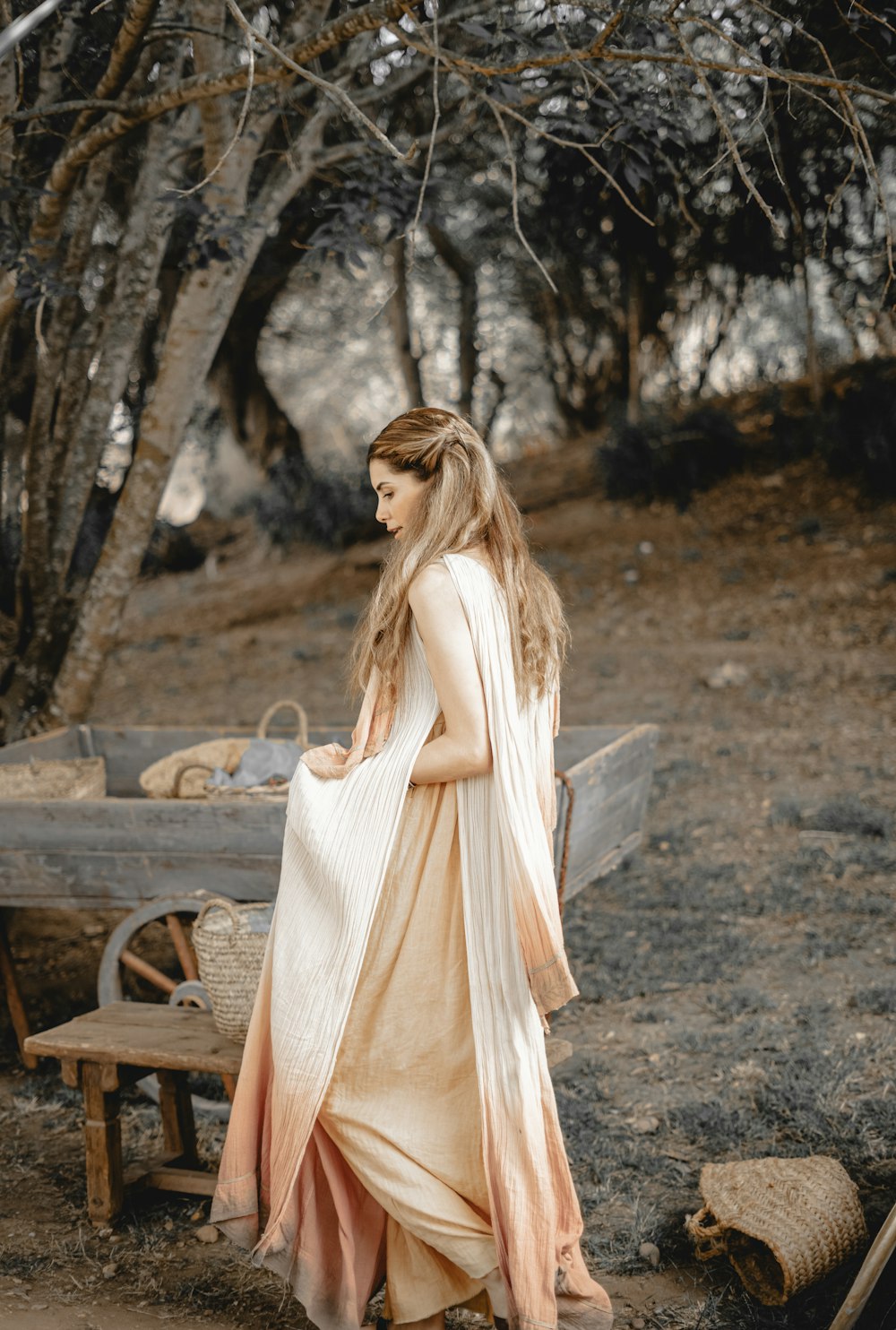 a woman in a long dress standing in front of a picnic table